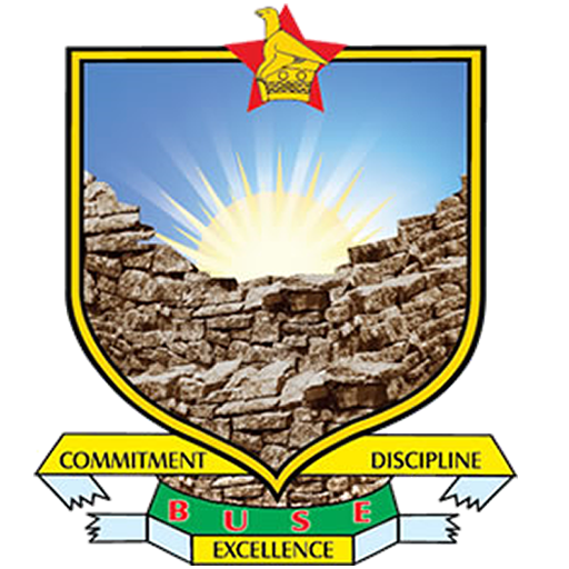 Buse Logo